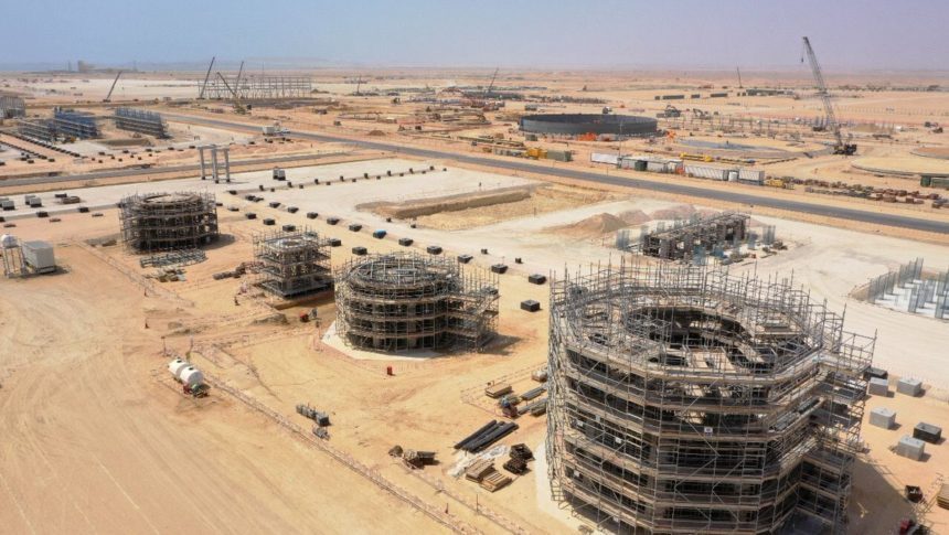 Oman's DRPIC Suspends FEED Work On Duqm Petrochemical Project ...