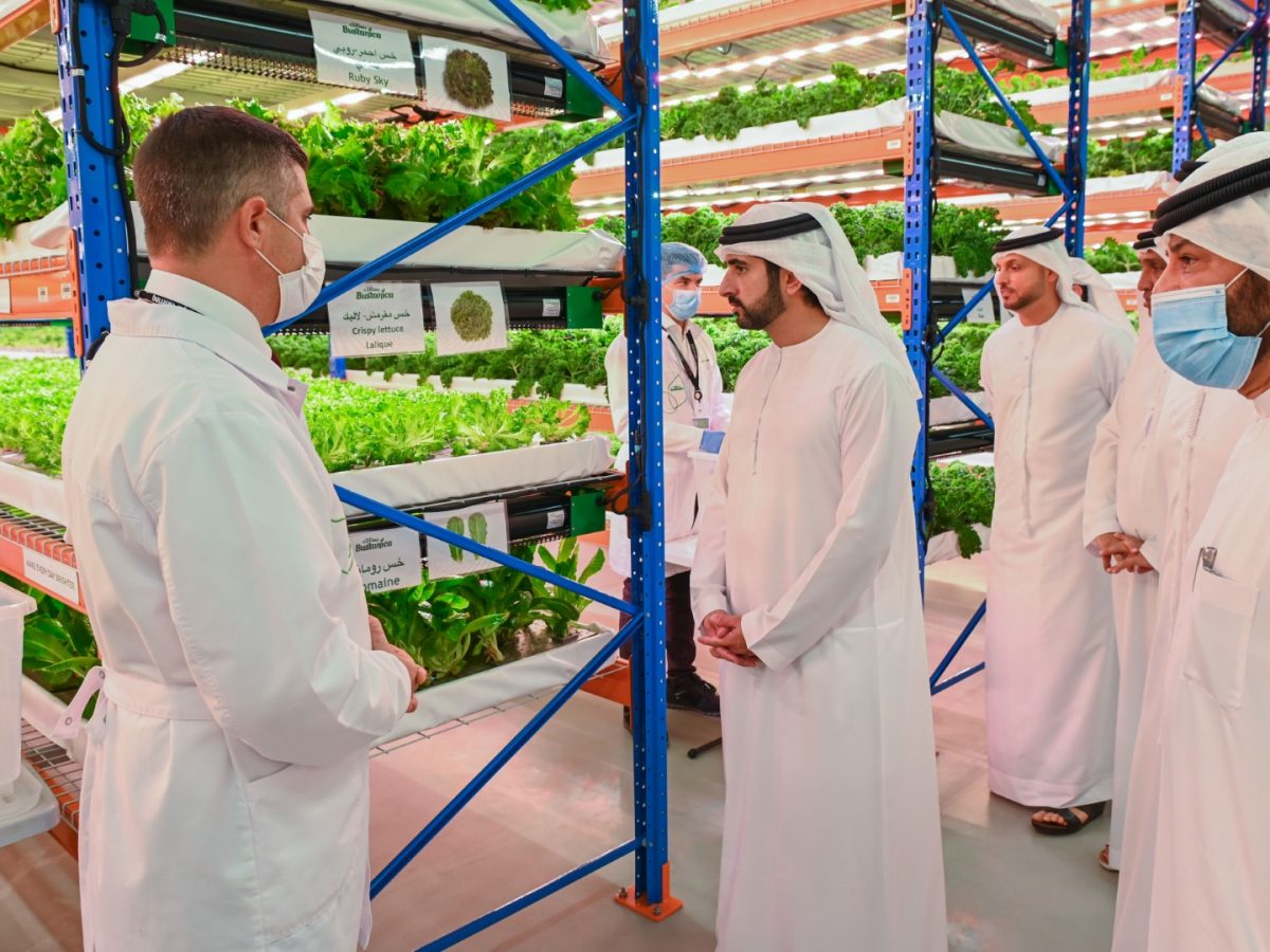 Bustanica world’s largest vertical farm toured by HH Hamdan