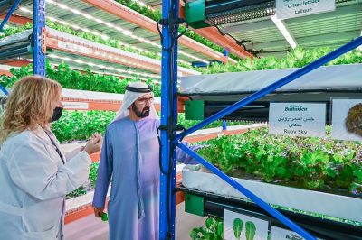 Vertical Farm Tour: Dubai Ruler tours world’s largest vertical ...